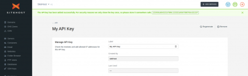 Green Banner with API Key