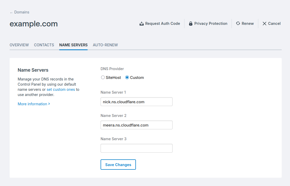 A domain using custom name servers
